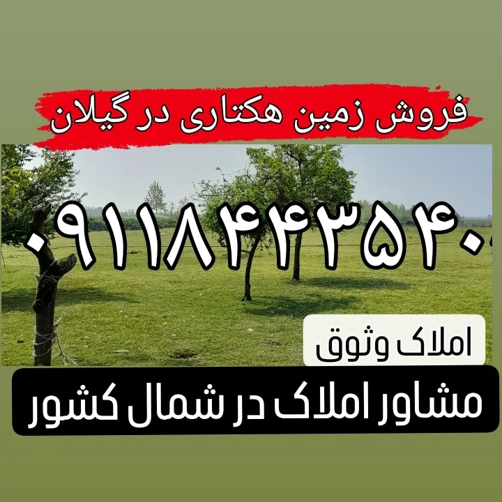 ویدیو های ملک در شمال